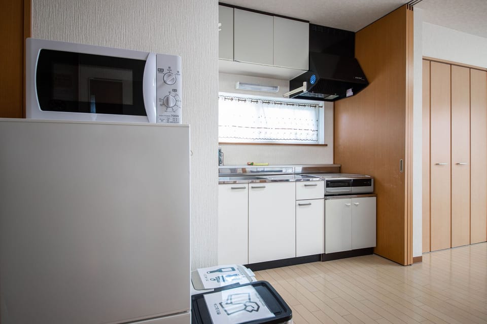 Full-size fridge, microwave, stovetop, rice cooker