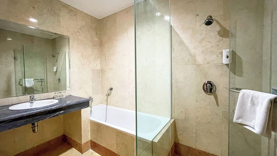 Family Room | Bathroom | Free toiletries, towels, soap, shampoo