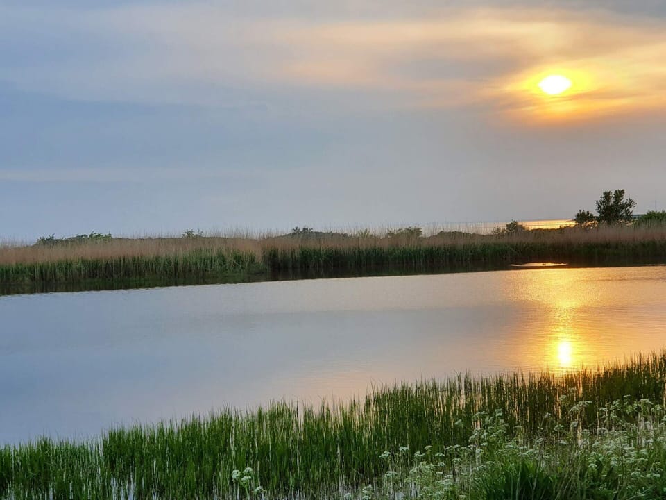 House | Water view