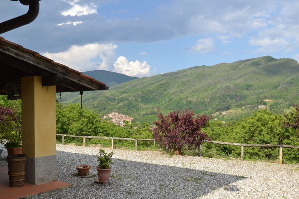 View from Holiday Home [summer]