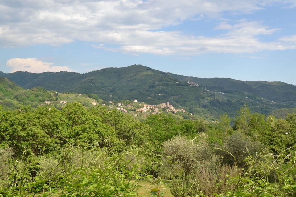 View from Holiday Home [summer]
