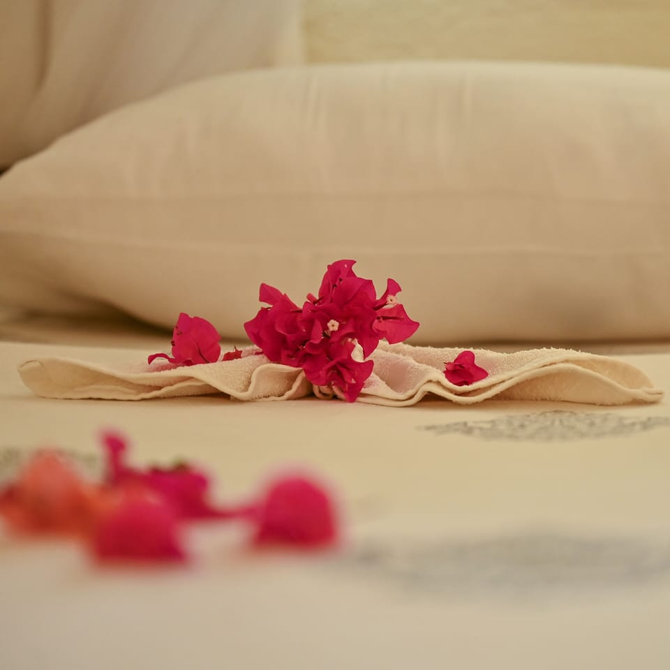 Deluxe Double Room | Egyptian cotton sheets, premium bedding, memory foam beds, in-room safe