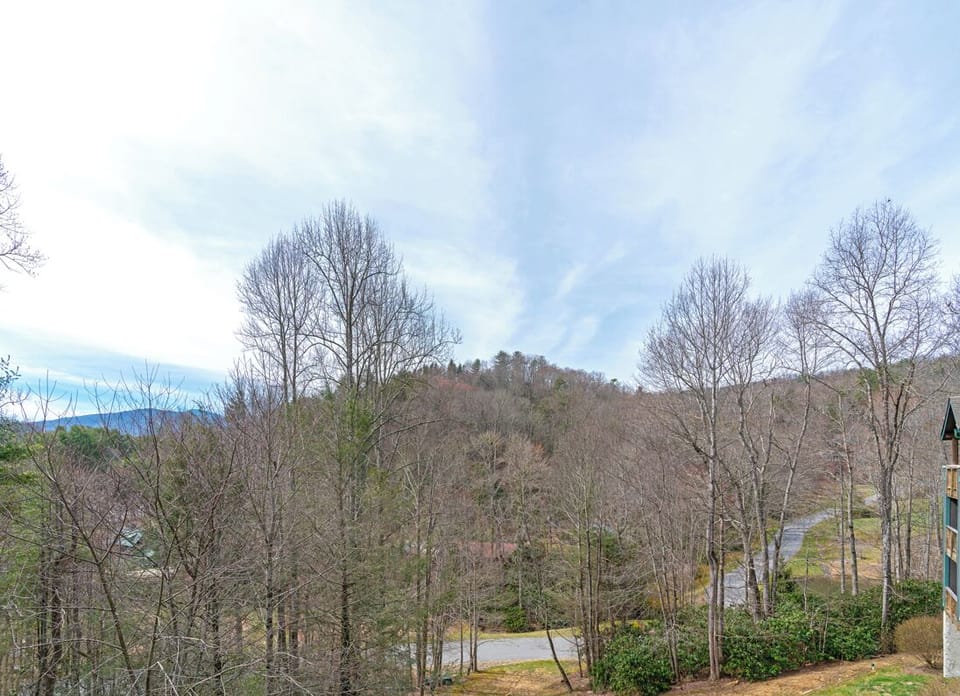 Wooded Mountain and Pond View