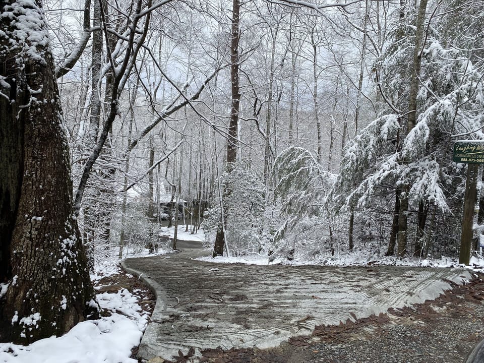 A Winter Wonderland Scene at Laughing Waters