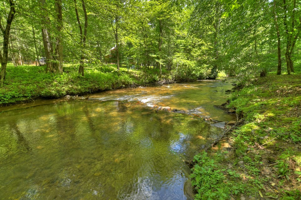 Throw in a line and catch a North Georgia trout
