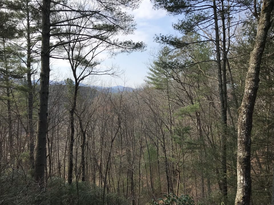 Graceful Light - North Georgia Mountain View