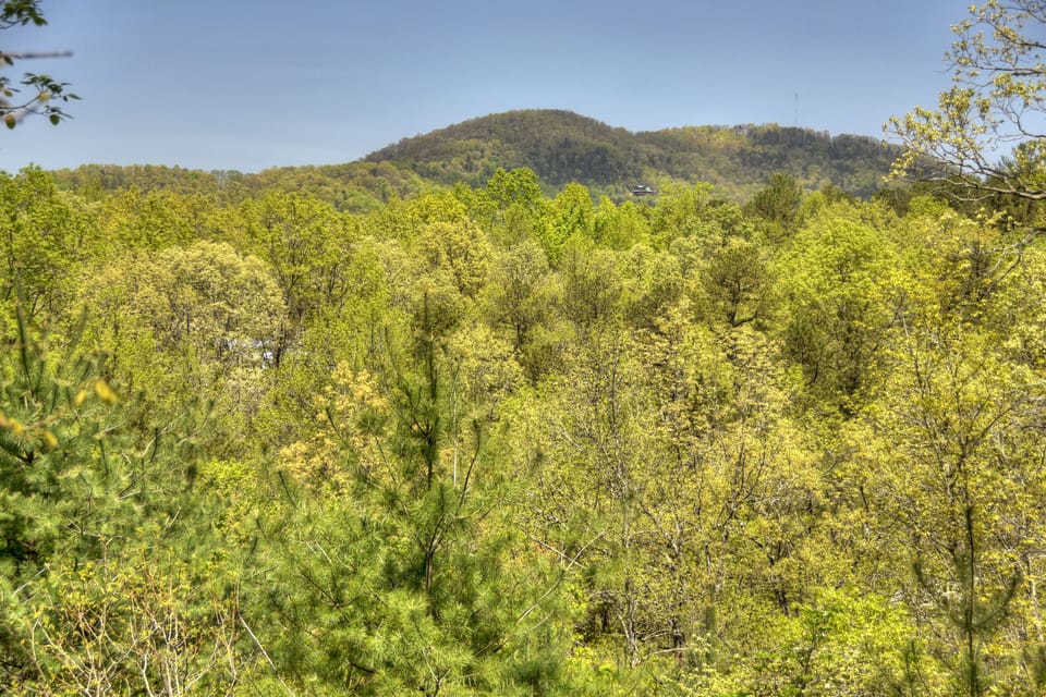 Seclusion at Hideaway Mountain - North Georgia Mountain Cabin Rental