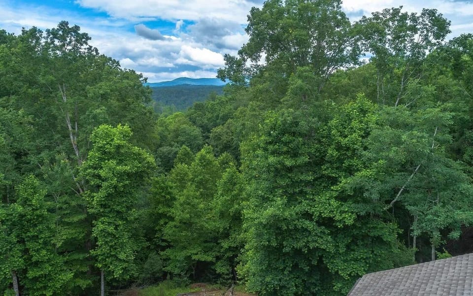 Roost On The Ridge - Georgia Mountain Cabin Rental