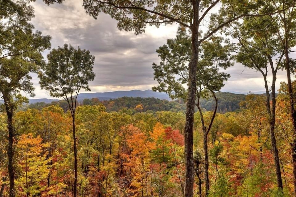 Wakin' On A Pretty Day - North Georgia Mountain Cabin Rental