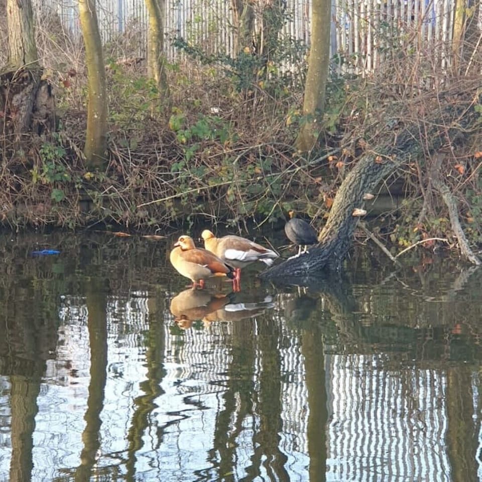 Southall Grand Union Canal 