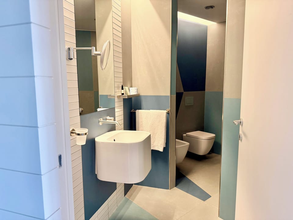 Smart Double Room | Bathroom | Shower, hair dryer, bidet, towels