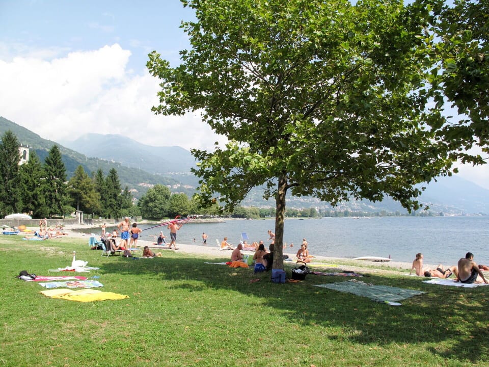 Water, Sky, Plant, Cloud, Tree, Lake, Boats And Boating--Equipment And Supplies, Outdoor Recreation, Leisure
