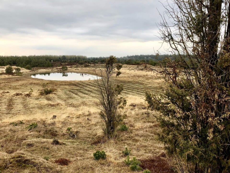 House | Miscellaneous