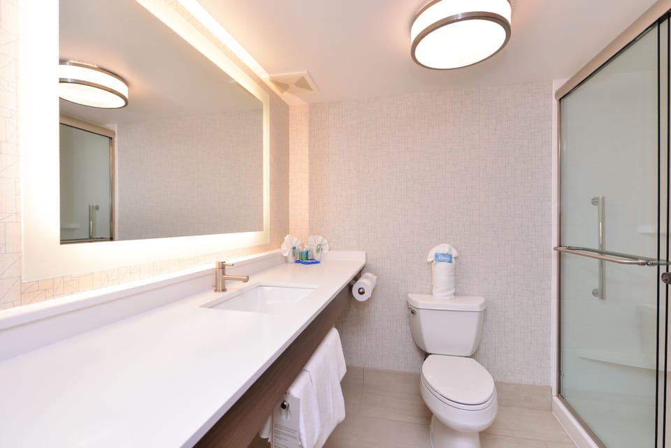 Combined shower/tub, free toiletries, hair dryer, towels