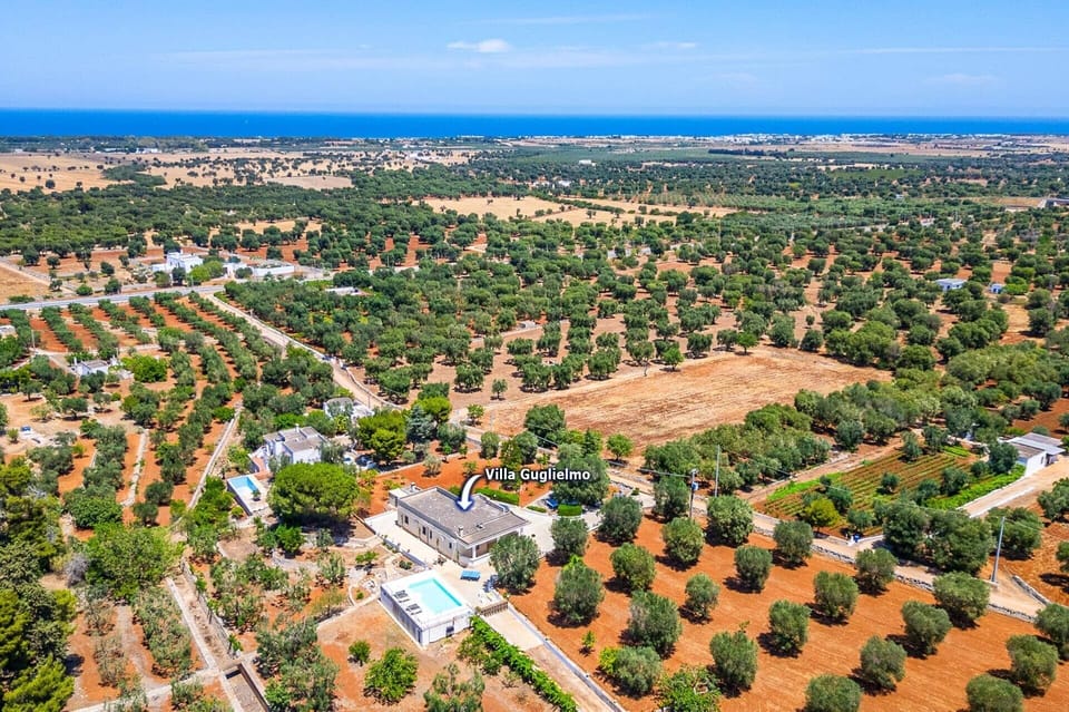 Villa Guglielmo image