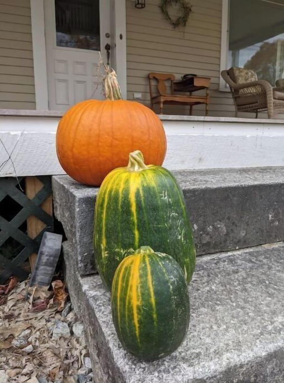 Fall at RVI