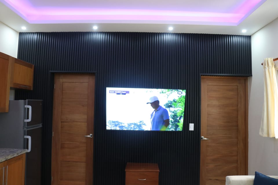 The 55 inch tv and the door to the right goes to the bedroom.
