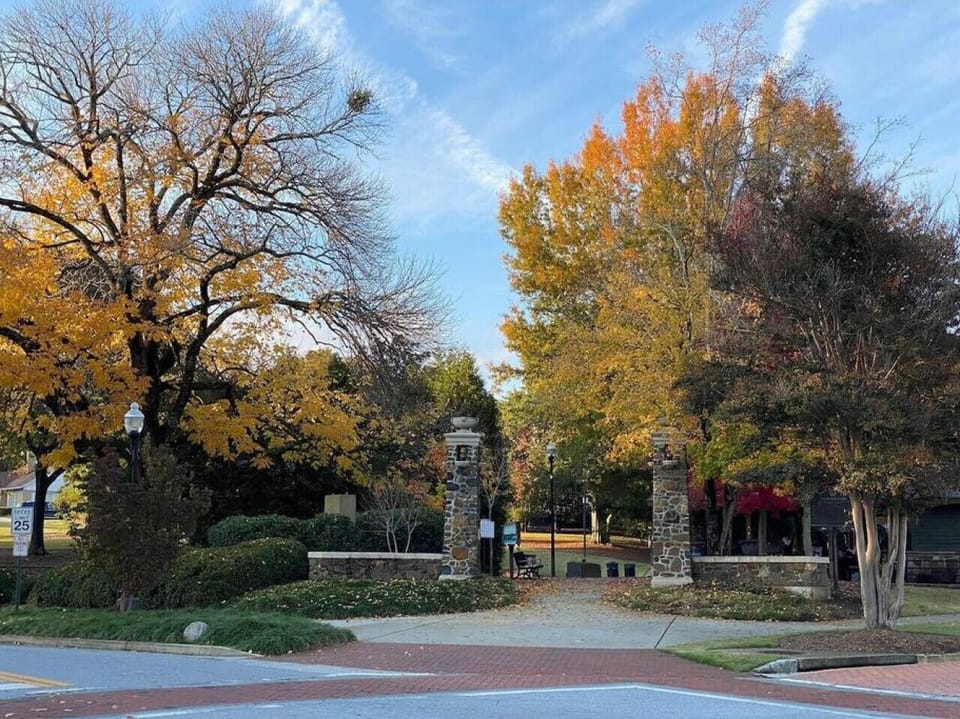 There are 2 beautiful parks with playground areas in downtown, too.
