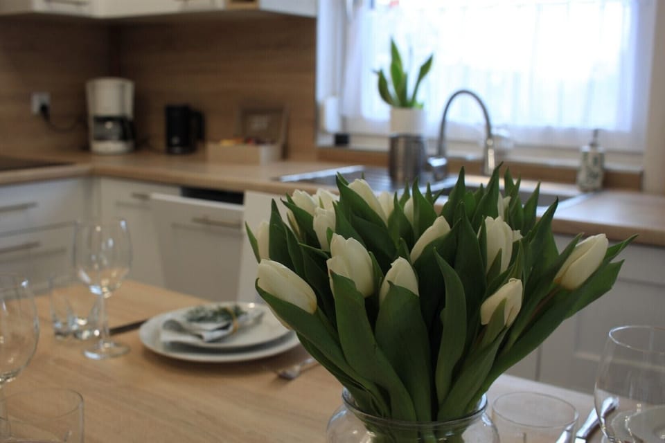 Full-size fridge, microwave, oven, stovetop