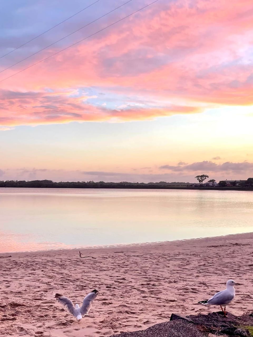 Shaws Bay — directly opposite, just a short stroll away