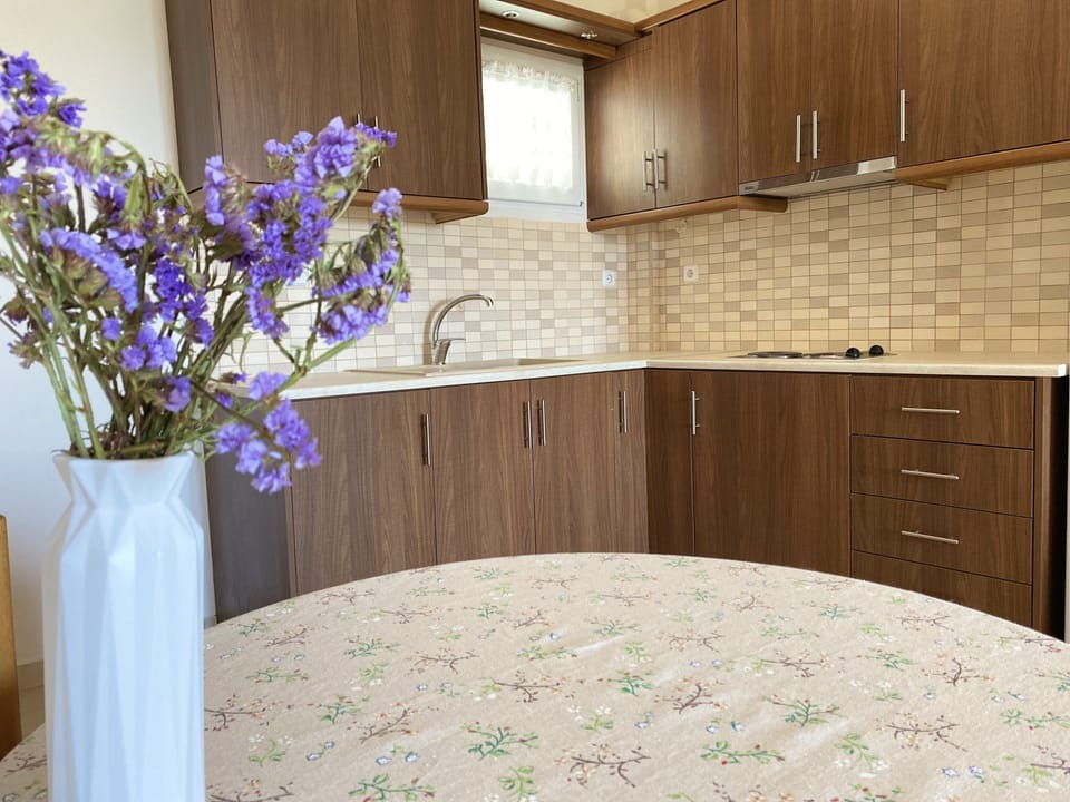 Family Apartment | Iron/ironing board, free cribs/infant beds, free WiFi, bed sheets