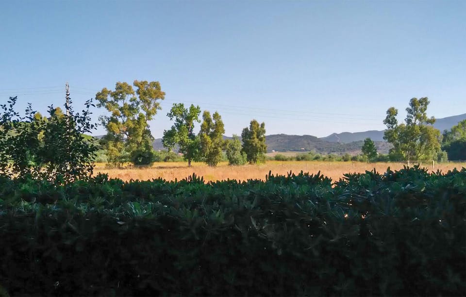 area