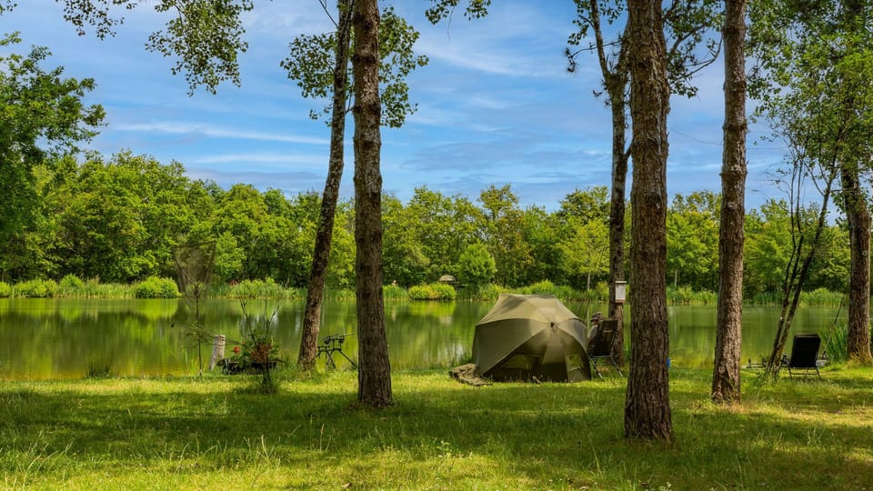 Lush greenery providing a serene escape.