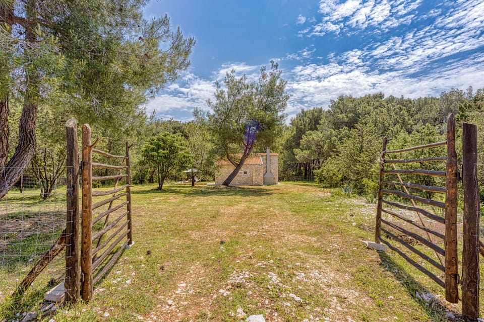 Family House, 1 Bedroom, Fireplace (Eco House Casa Grigia Zabodarski) | Property grounds