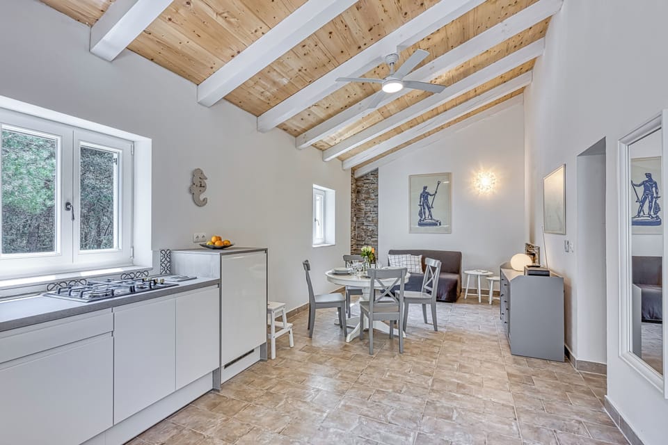 Family House, 1 Bedroom, Fireplace (Eco House Casa Grigia Zabodarski) | Private kitchen