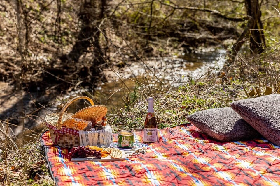 Lower field perfect for a picnic