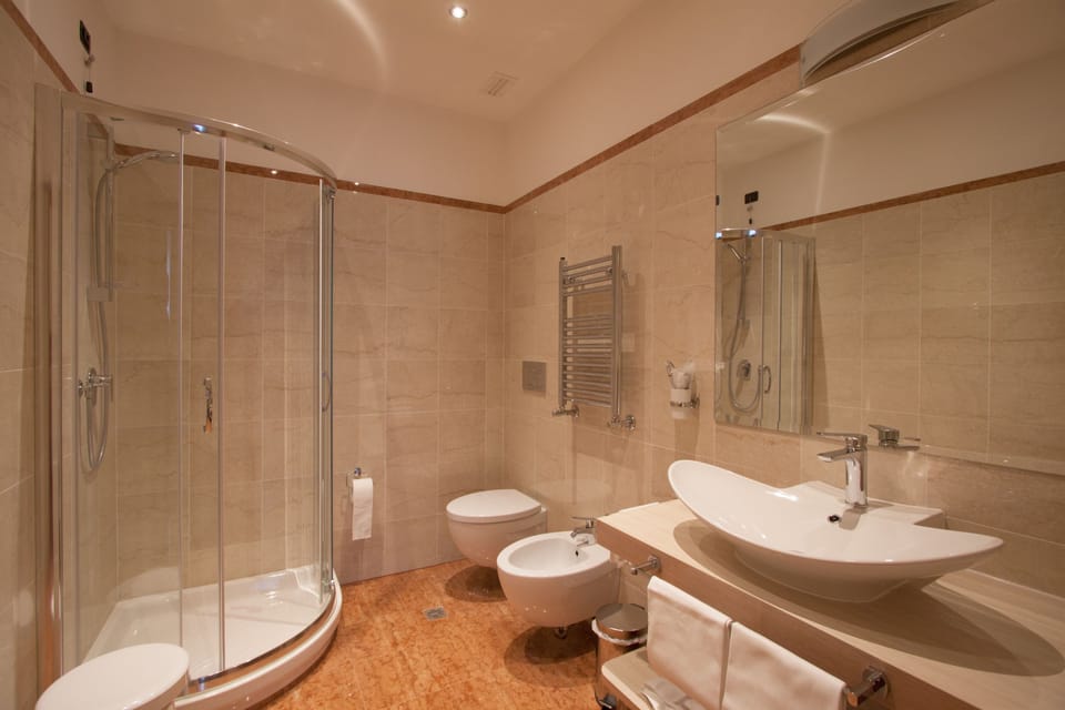 Shower, free toiletries, hair dryer, bidet