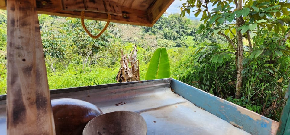 The view from the kitchen "sink"