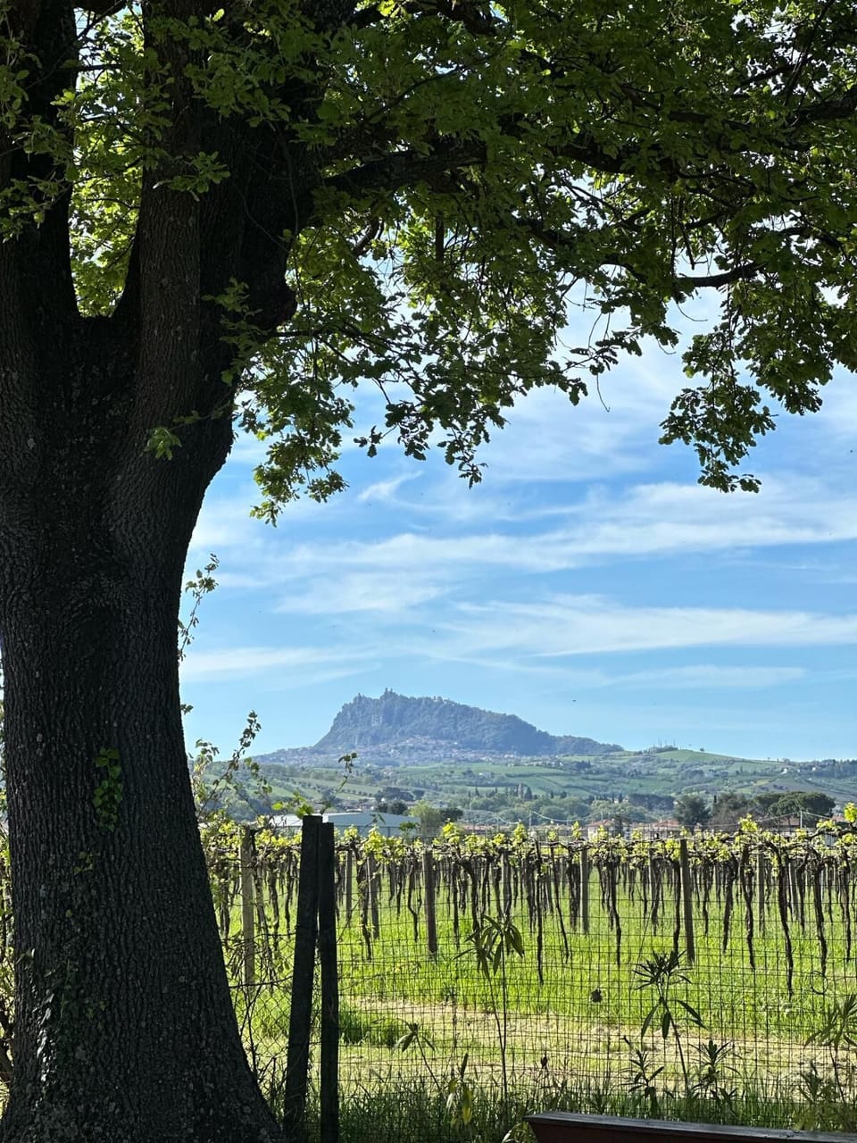 Land view from property
