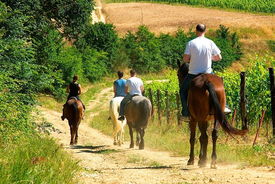 Horseback riding