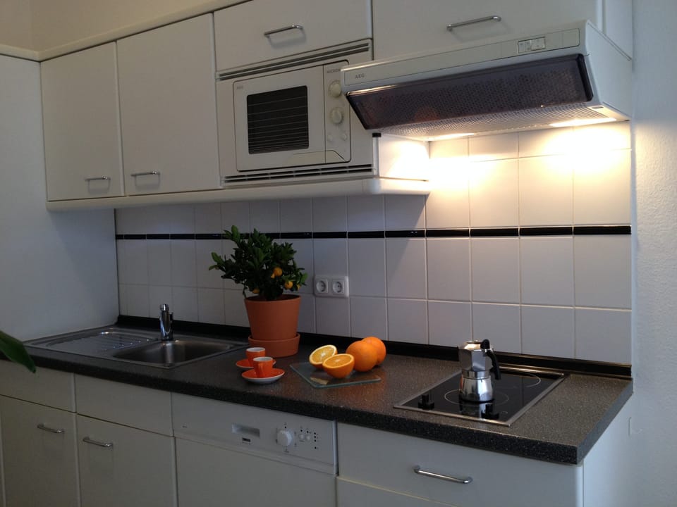 Apartment, 1 Bedroom | Private kitchen | Fridge, microwave, stovetop, dishwasher