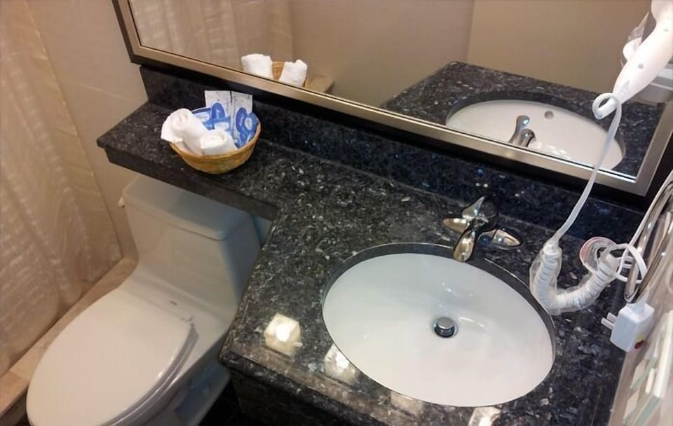 Single Room | Bathroom | Free toiletries, hair dryer