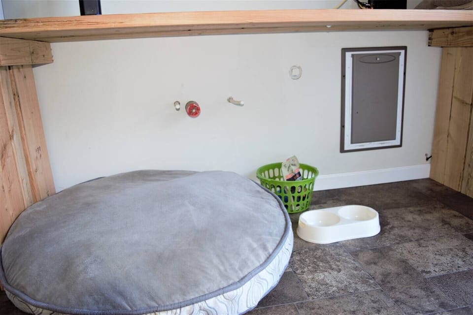 Dog setup, including doggy door accessing the fenced back yard.