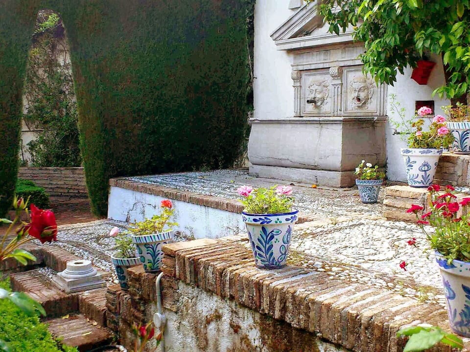 Flower, Plant, Property, Flowerpot, Houseplant, Nature, Vegetation, Grass, Biome, Outdoor Furniture
