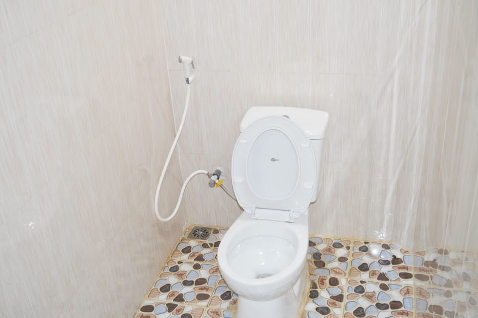 Hair dryer, slippers, bidet, towels