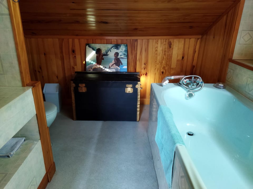 Classic Double or Twin Room | Bathroom | Hair dryer, towels, soap, shampoo