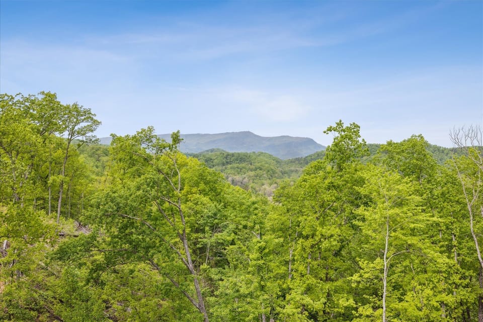Back Deck View