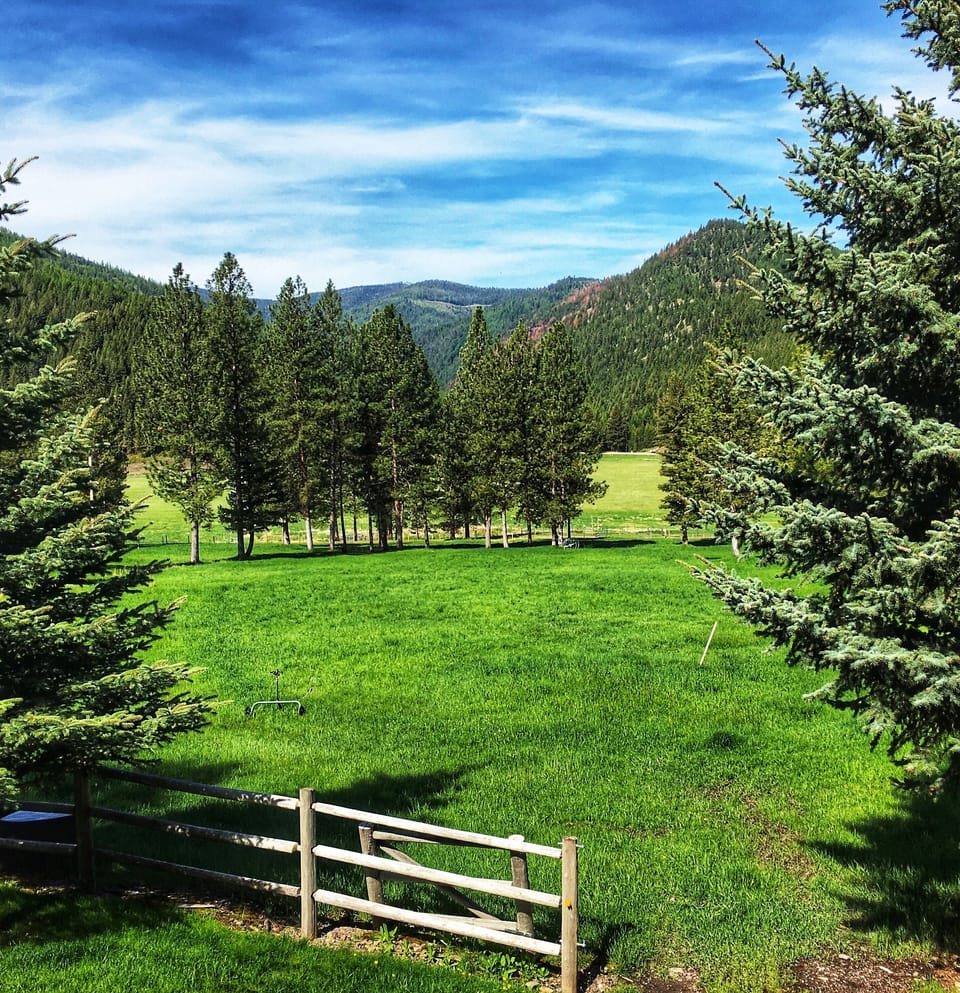 The Big Meadow in front of the Bunkhouse 