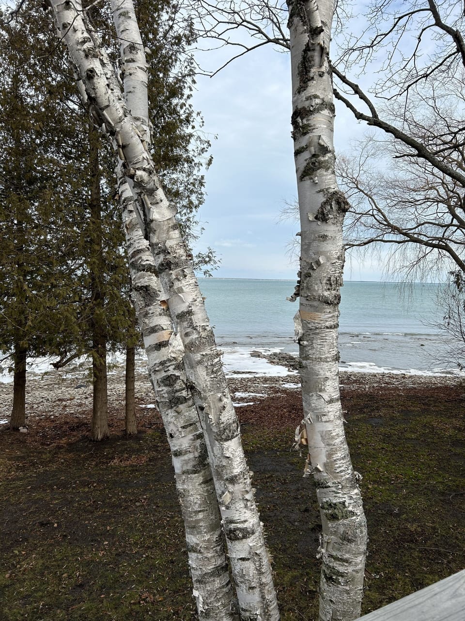 View of Lake from Deck