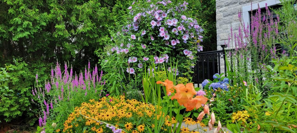 Italian garden with flowers. There are more.