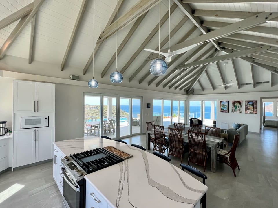Large open concept kitchen and living 