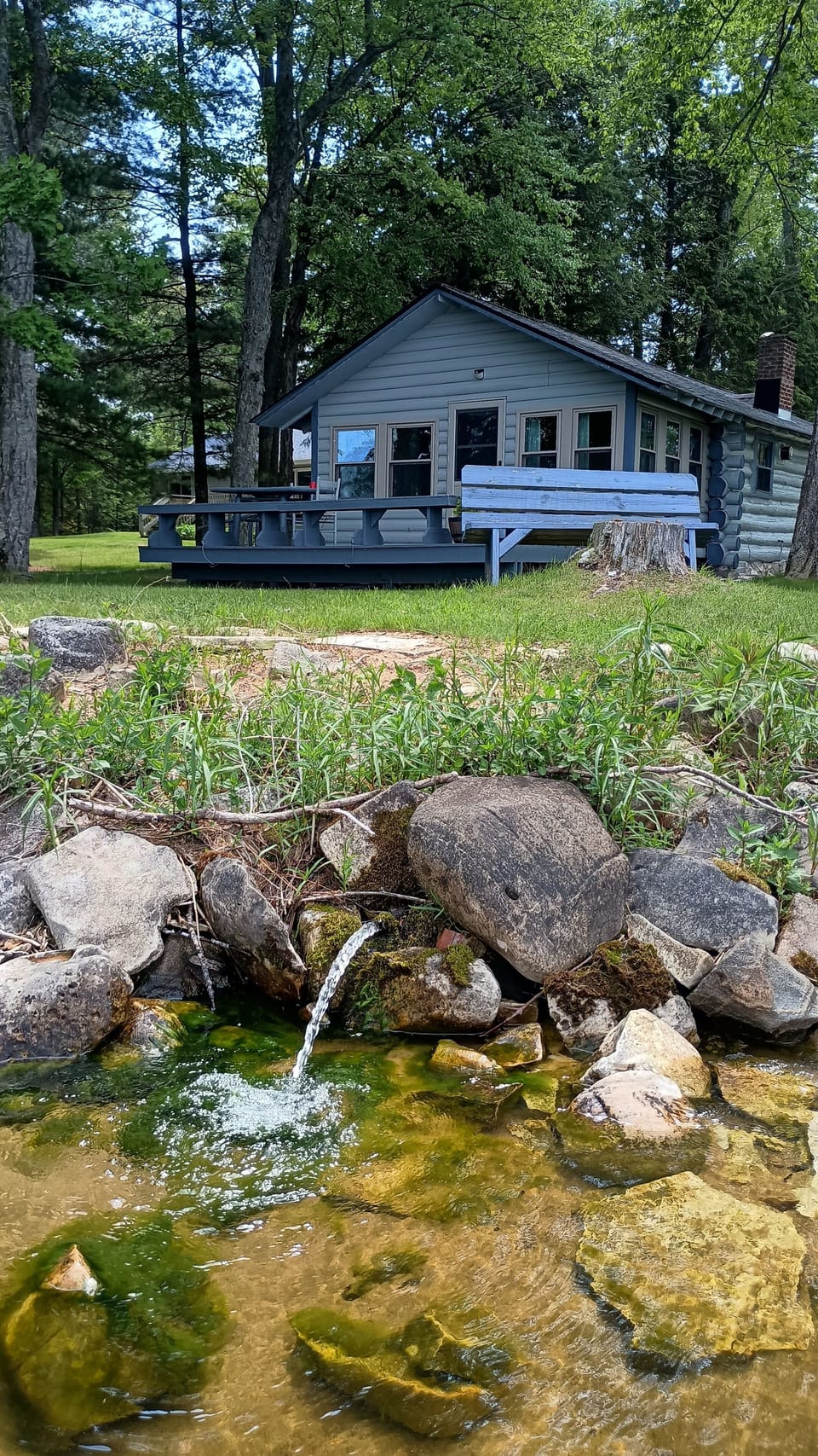 Artesian well in front of the cabin emptying into Indian Lake. Have a drink!