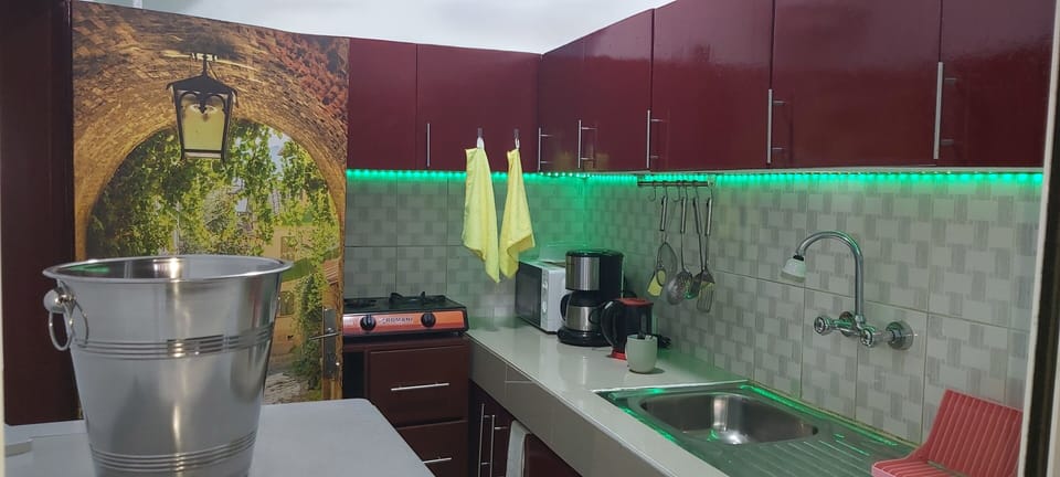 Apartment, 1 Bedroom, Terrace, Lake View | Private kitchen