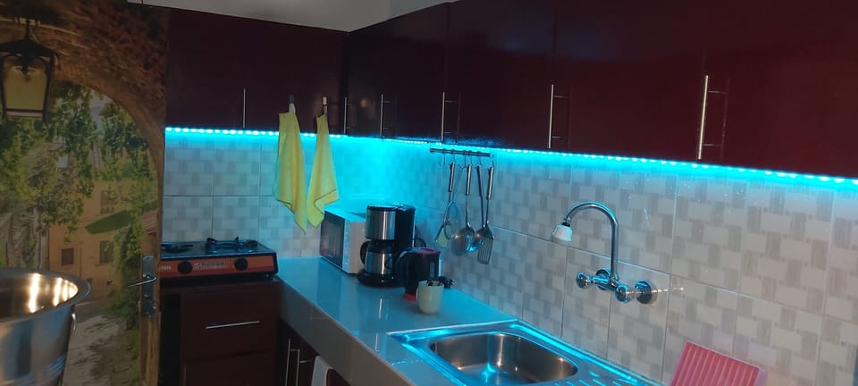Apartment, 1 Bedroom, Terrace, Lake View | Private kitchen
