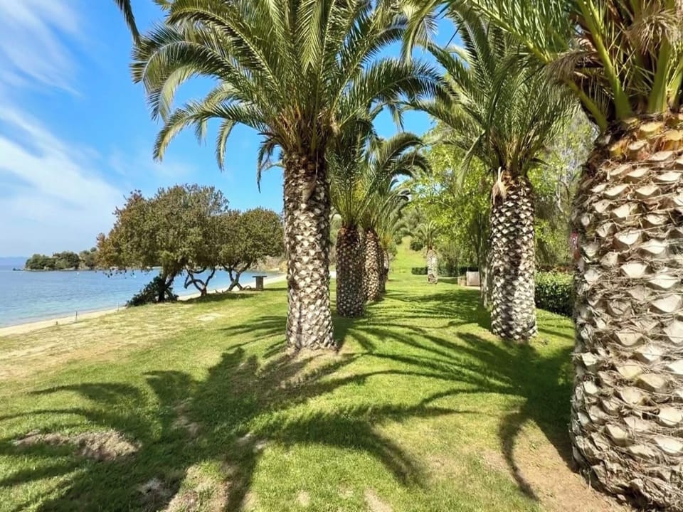 Villa, 6 Bedrooms, Balcony | Property grounds