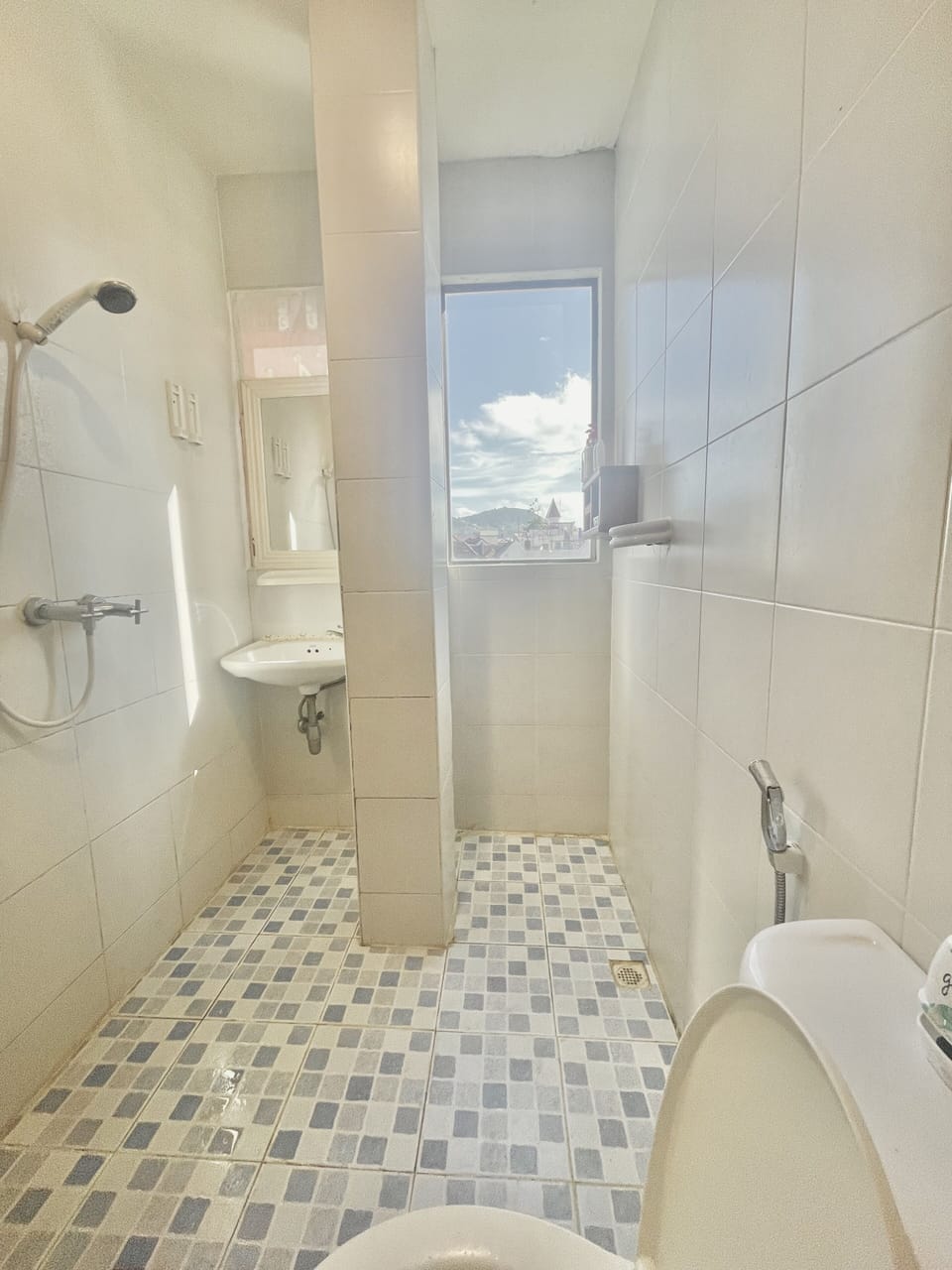 Shower, hair dryer, slippers, bidet